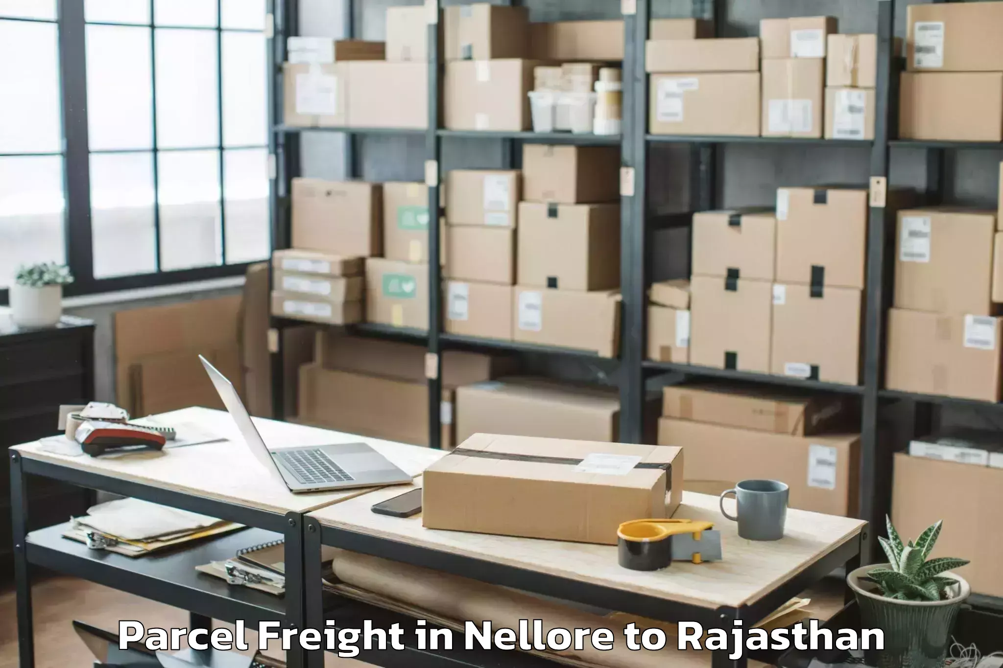 Top Nellore to Kumbhalgarh Parcel Freight Available